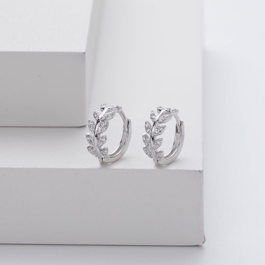 Elegant 5A Zirconia Silver Earrings